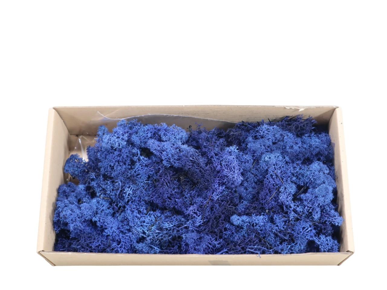 Islandmoos-Finland 500gr. blau