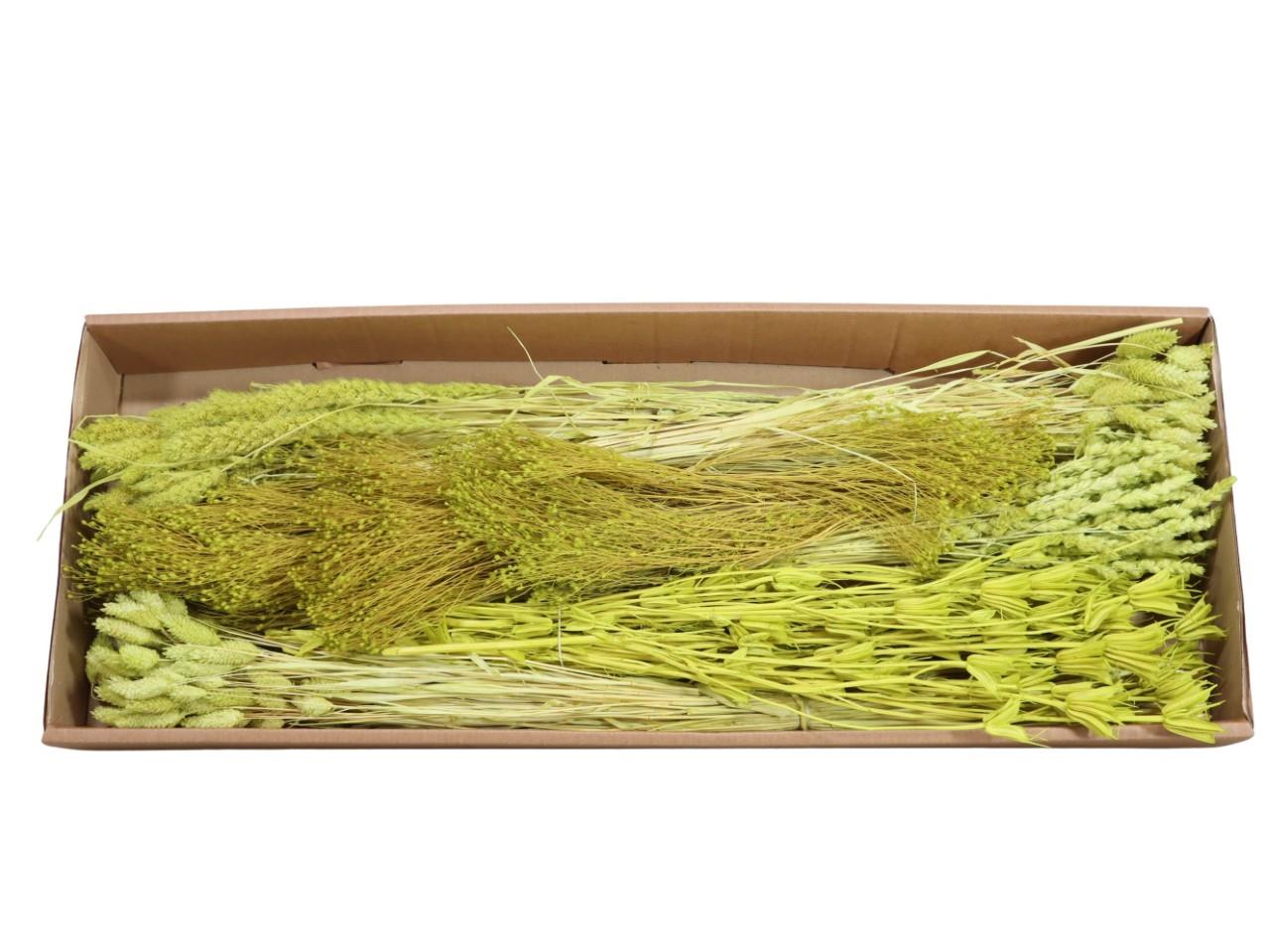 Gräser sort. 350 gr. limette 121/P