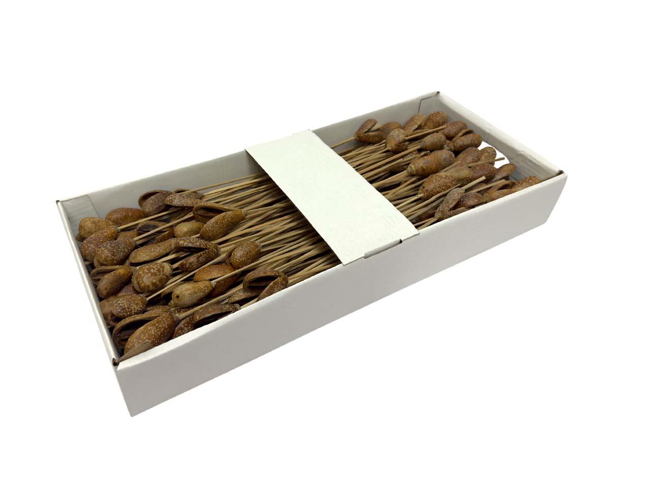 Bagon Frucht gestielt natur