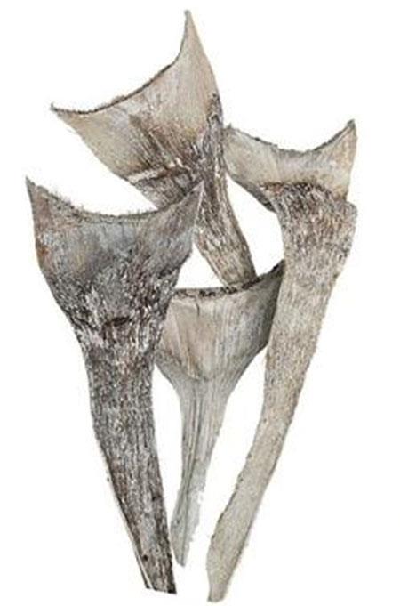 Agave spezial 2kg white washed