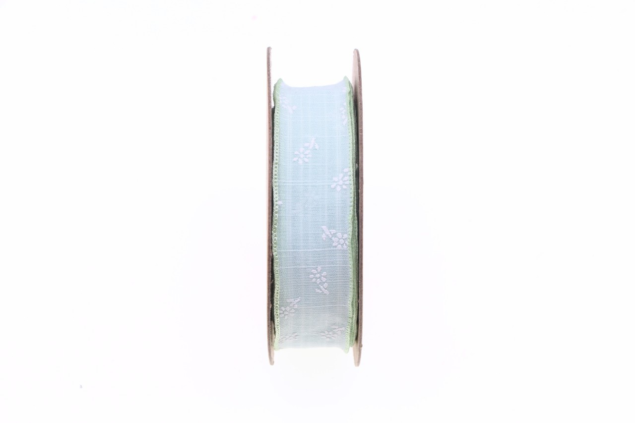 Band Spirit 25 mm 15 Meter 109 hellgrün