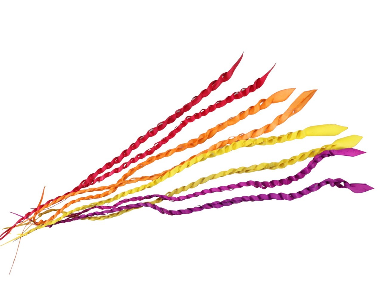 Palmsnake sortiert orange, rot, brombeer, gelb