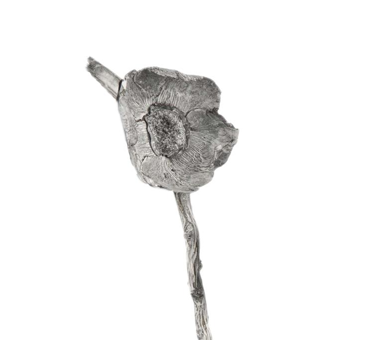 Coco Rose am Naturstiel white washed