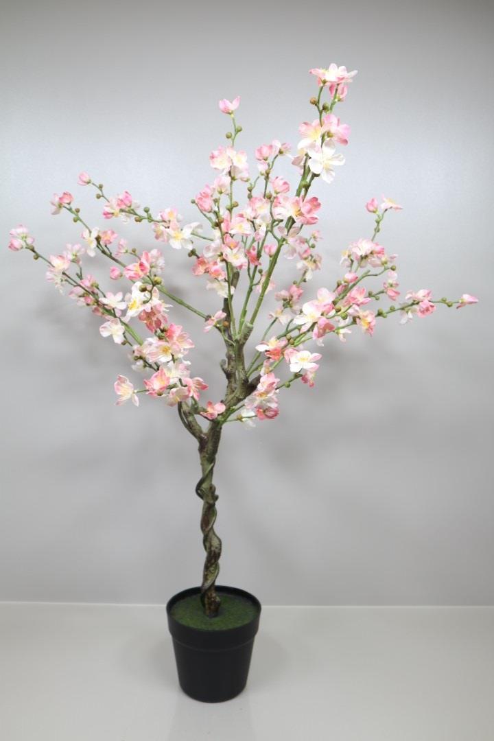 Pfirsichblütenbaum im Topf weiß/rosa 120cm