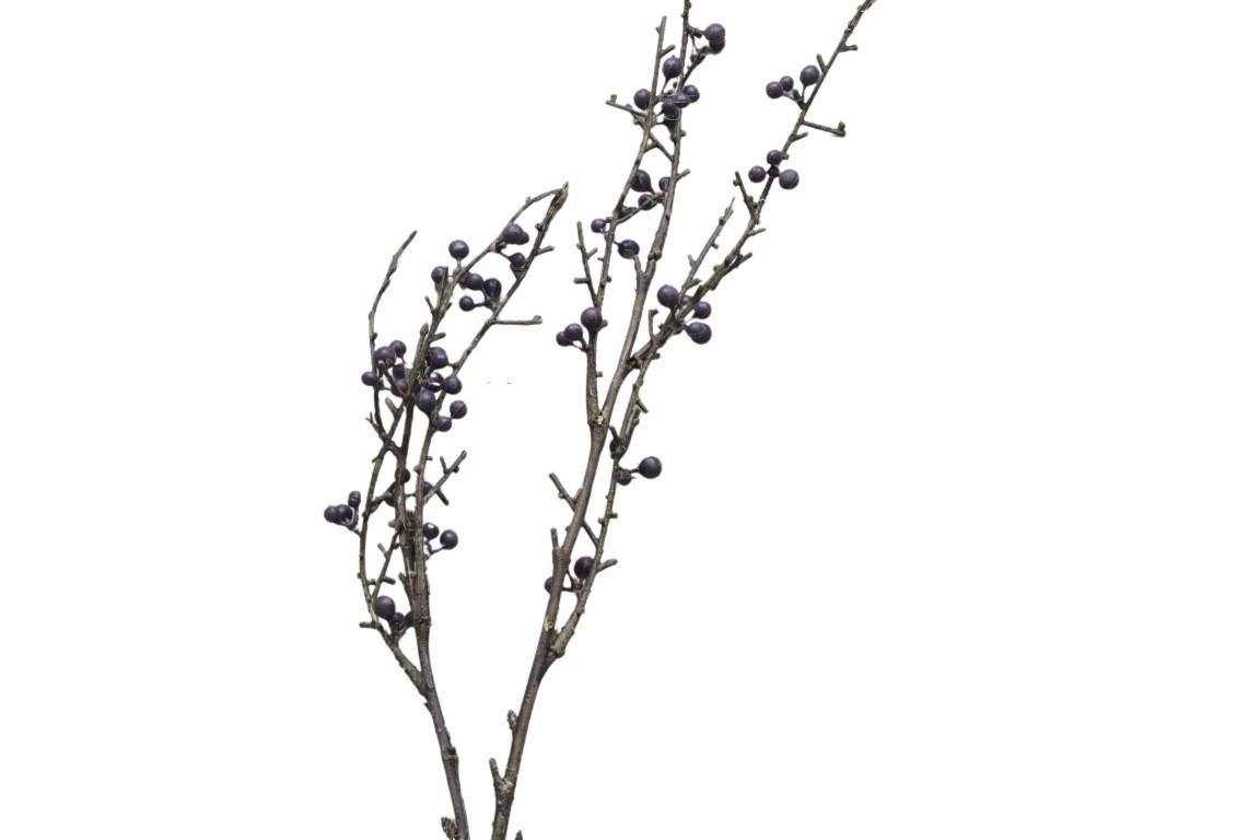 Beerenzweig 60 cm blau
