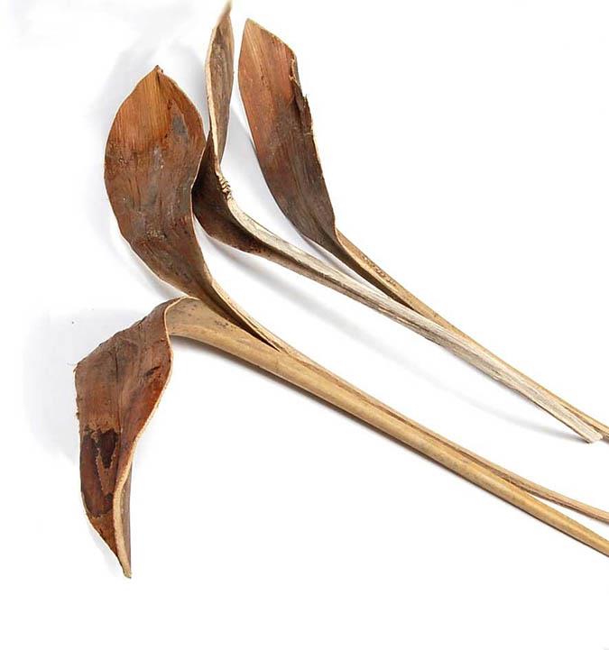Hornspeer D5-6H20L50cm natur lackiert