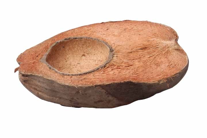 Cocosnuß Hälfte natur