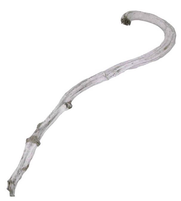 Hirtenstab white washed