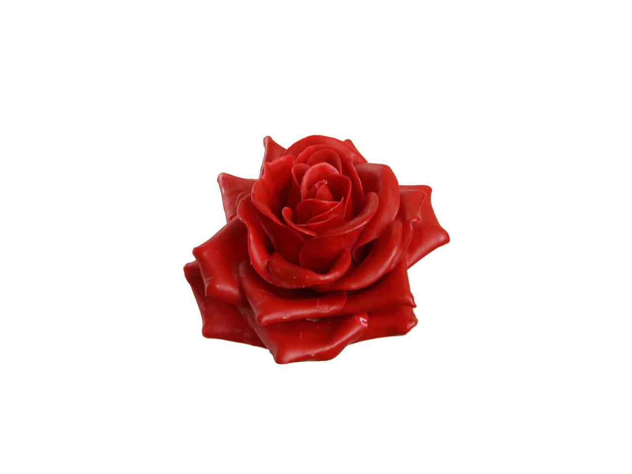 Rosenblüte Wachs 5cm rot in Holzbox
