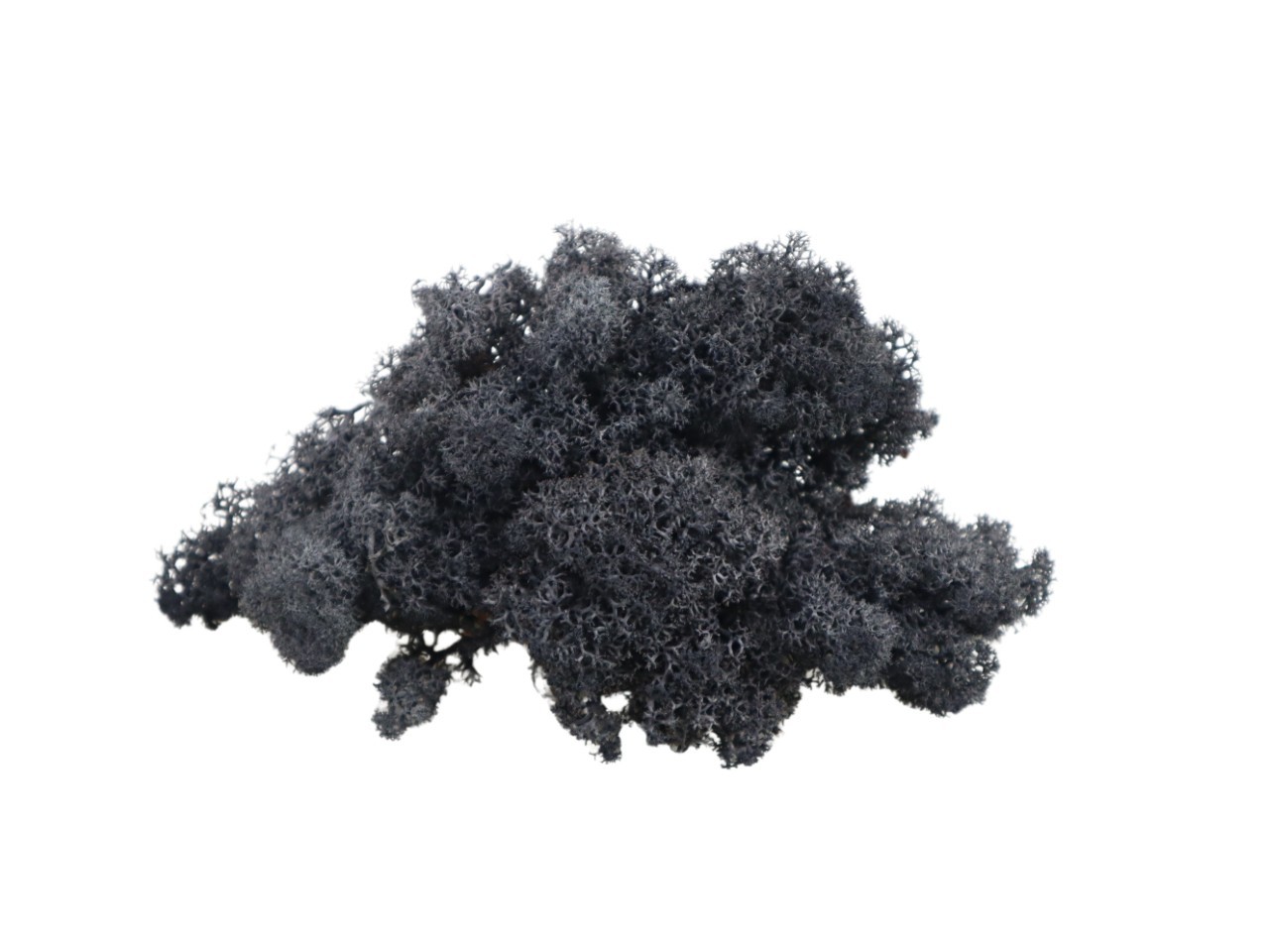 Islandmoos 500gr. schwarz