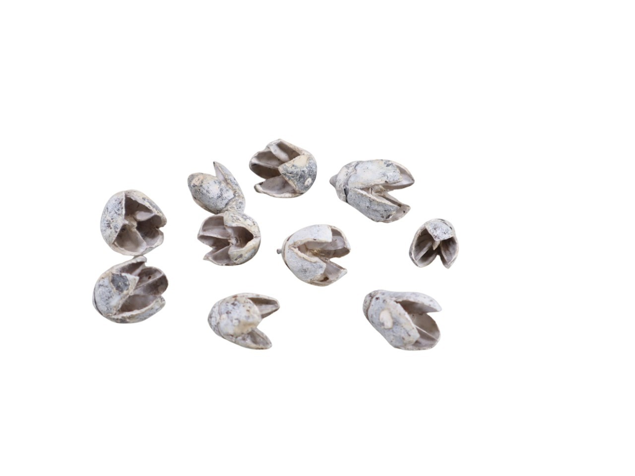 Zapfen Bakali white washed 1kg