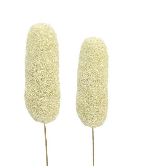 Luffa gebleicht gestielt 10-15cm