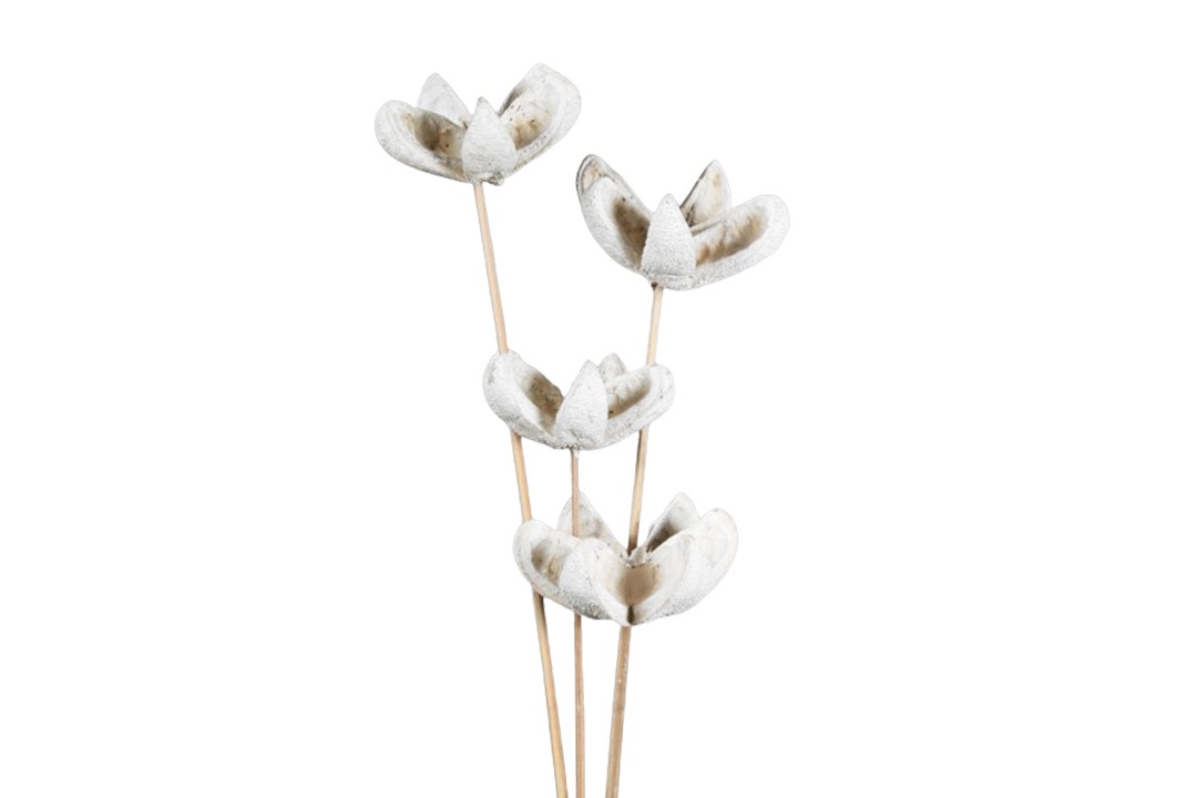 Bullet Blume am Stiel 10cm gestielt white washed