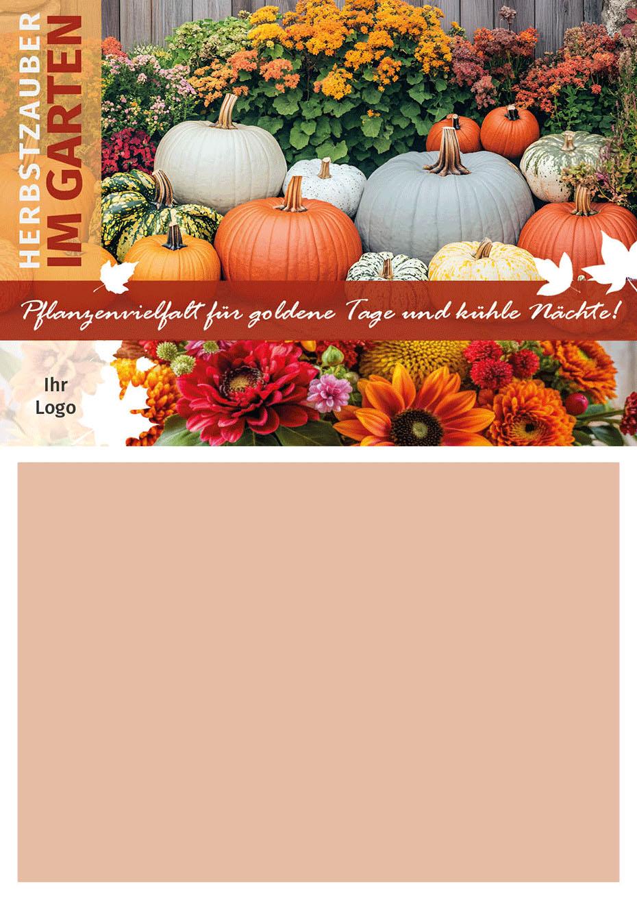 ekaflor Herbst 2025 Aktionsvordruck PDF+Word