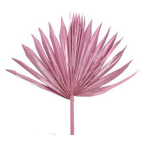 Palmspeer Sun Cut mixed altrosa