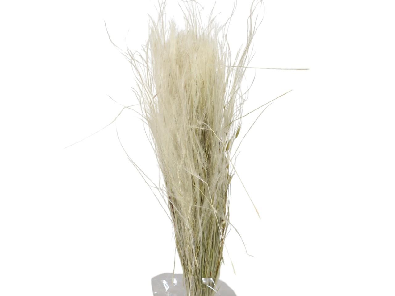 Stypa Pennata mit Stroh natur 50gr.