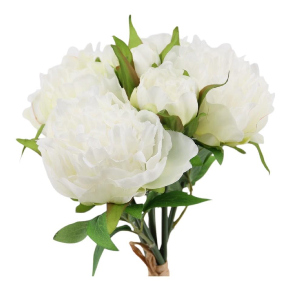 Pfingstrosenbund x 7,  30 cm weiss