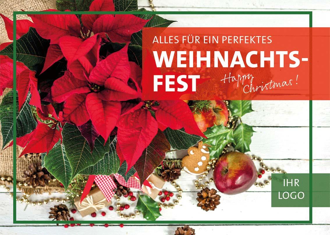 ekaflor Advent Großflächenplakat inkl. Druck 03