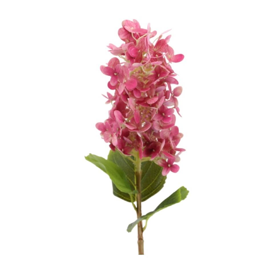 Rispenhortensie 60 cm rosa