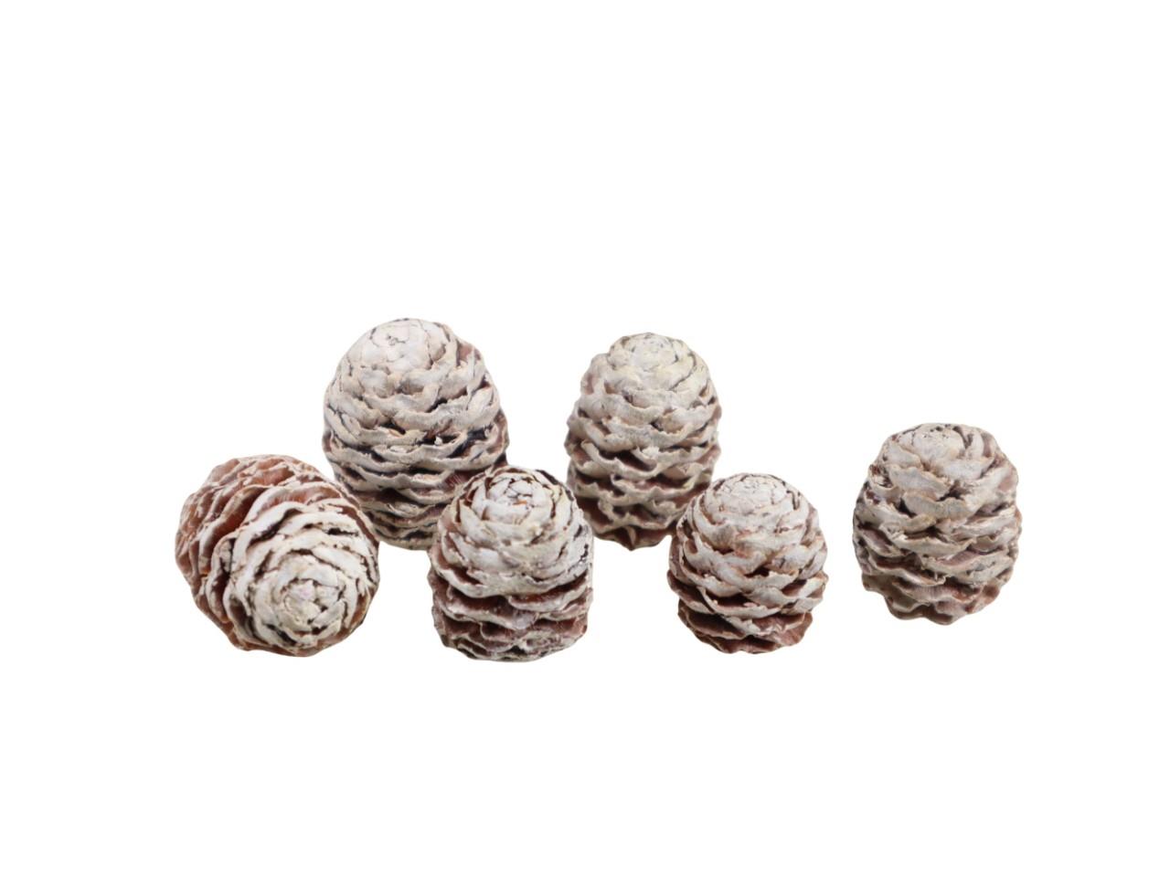 Zapfen Meridianum D2,5H3cm white washed 1kg