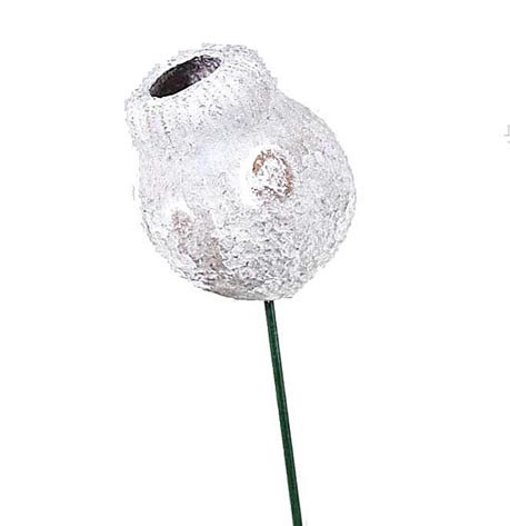 Eucalyptusglocken am Draht white washed