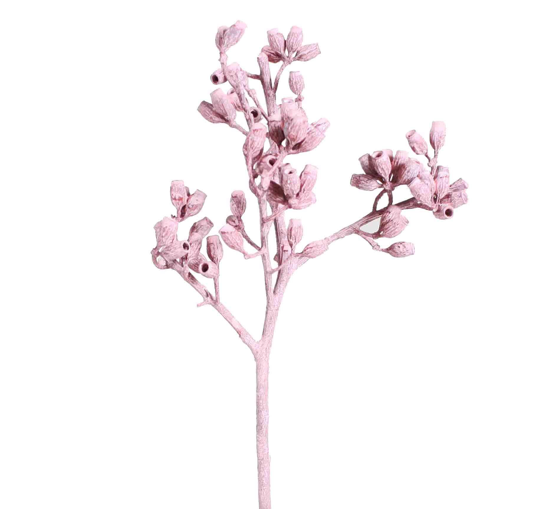 Eucalyptus Cluster Zweig altrosa frosted