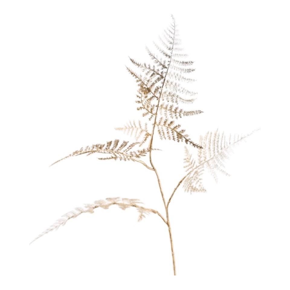 Farnzweig 4fach verzweigt gold H58cm