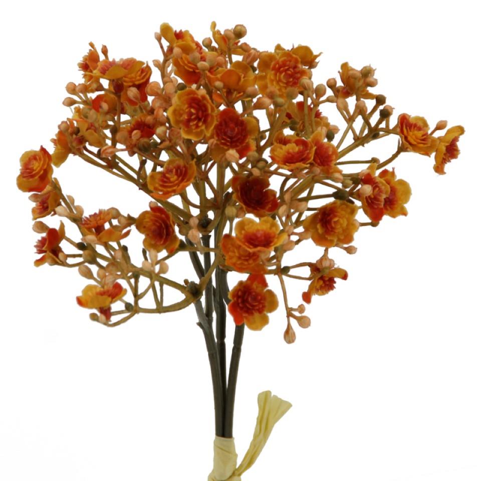 Gypso/Schleierkraut Bündchen 3 Stiele orange H30cm