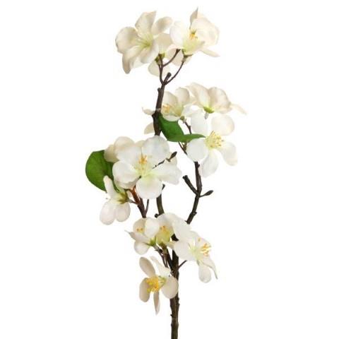 Kirschblütenpick 50cm weiss NETTO