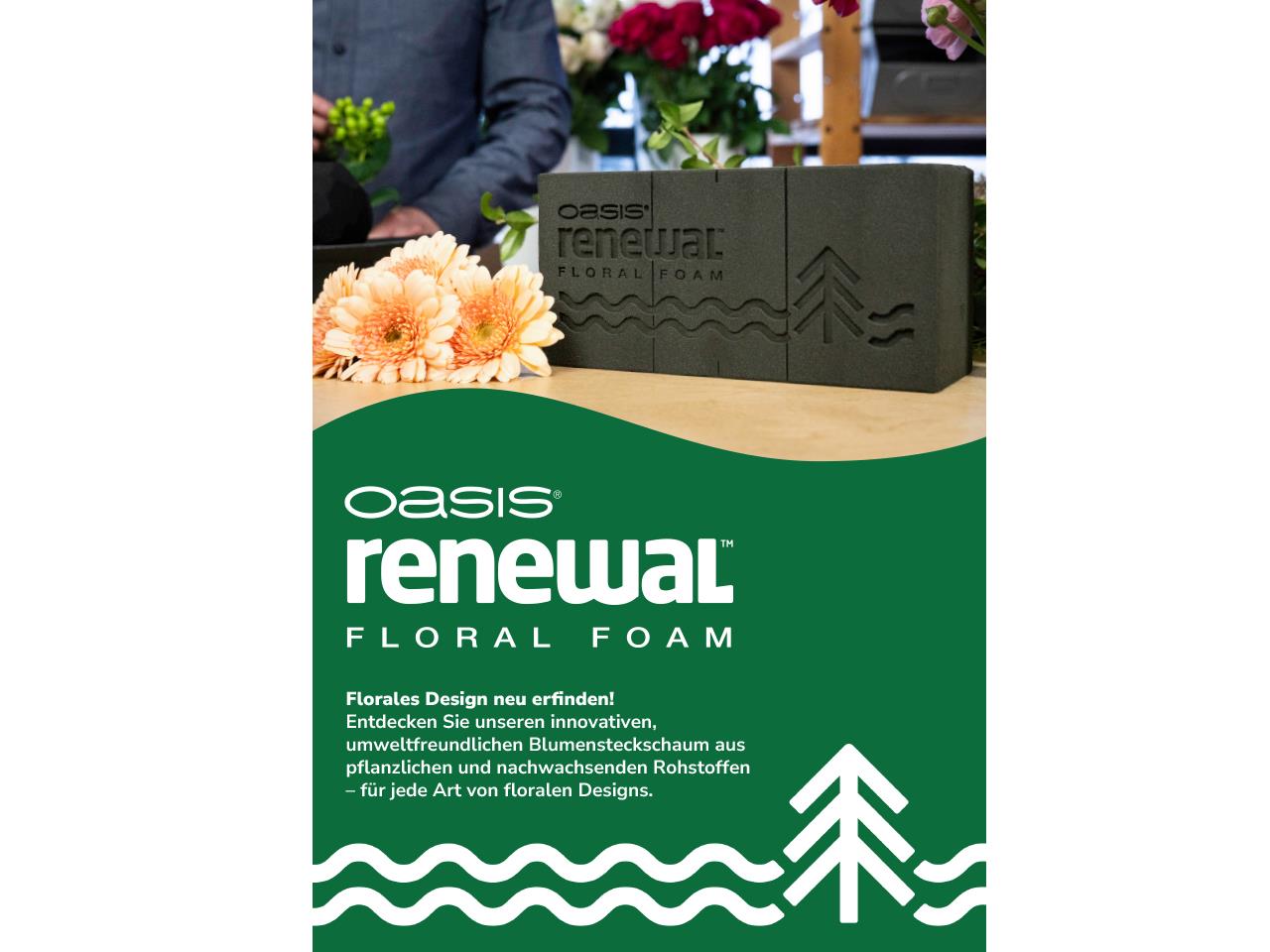 OASIS RENEWAL Frischblumensteckschaum NETTO