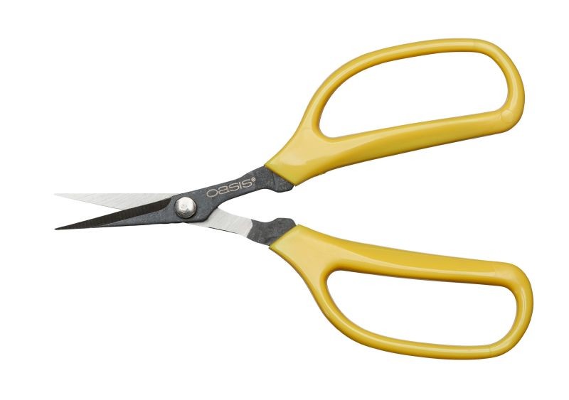 Oasis Bonsai&Pinzierschere NETTO