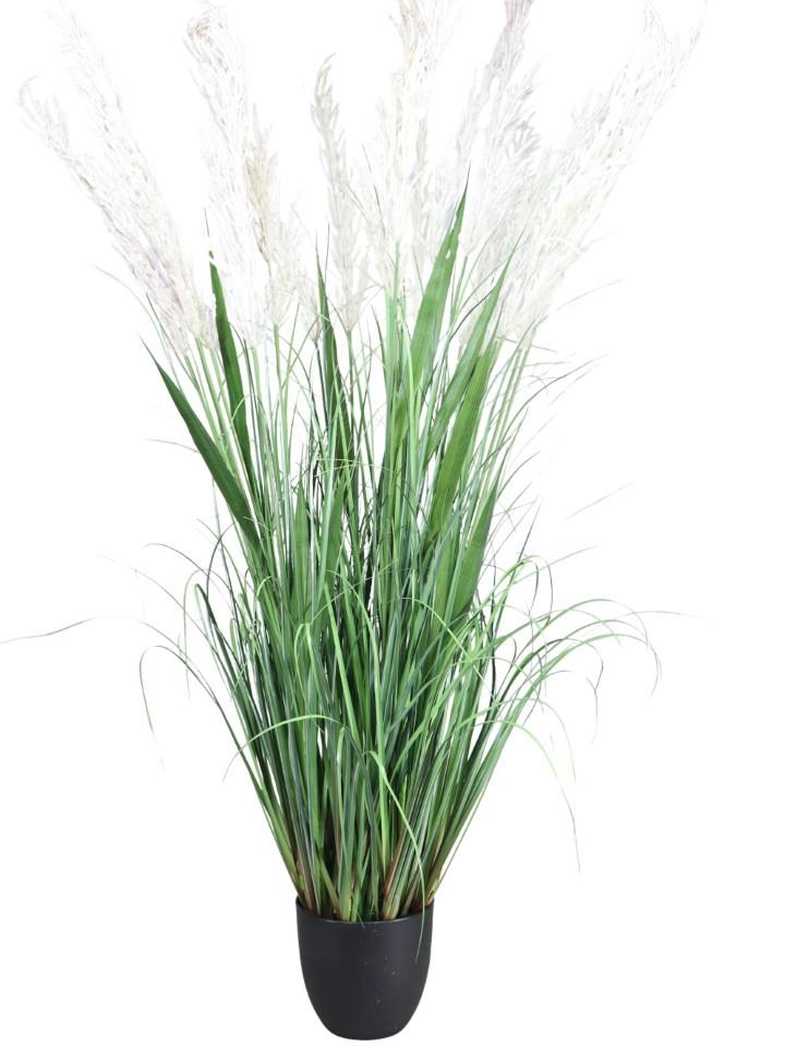 Bonsai Zwiebelgras H135cm grün/weiß