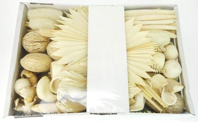 Exotensortiment indisch gebleicht groß 100 Stück