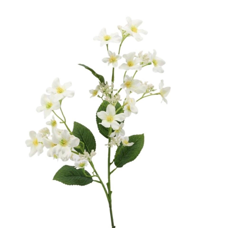 Verniciazweig 63 cm cream