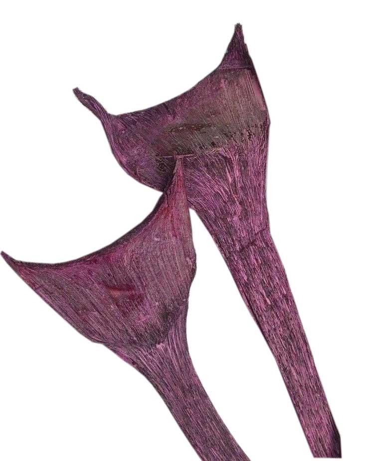 Agave spezial D12L35cm 2,5kg ca. 55 Stück brombeer