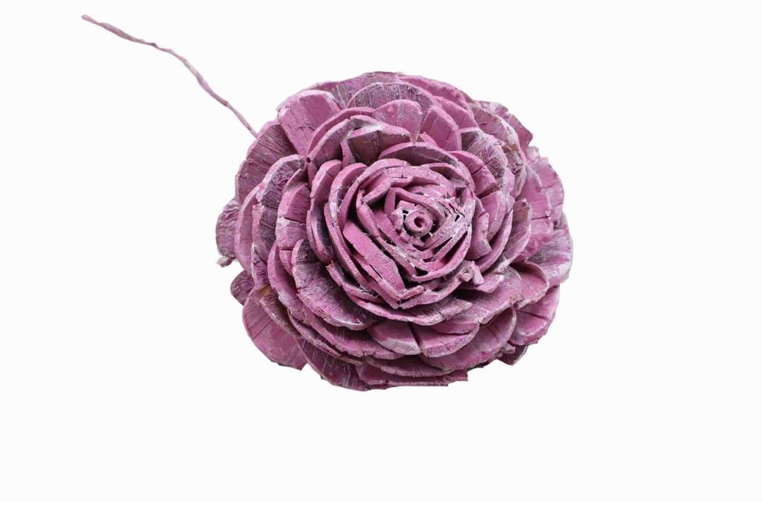 Rose Sola am Draht D10cm brombeer