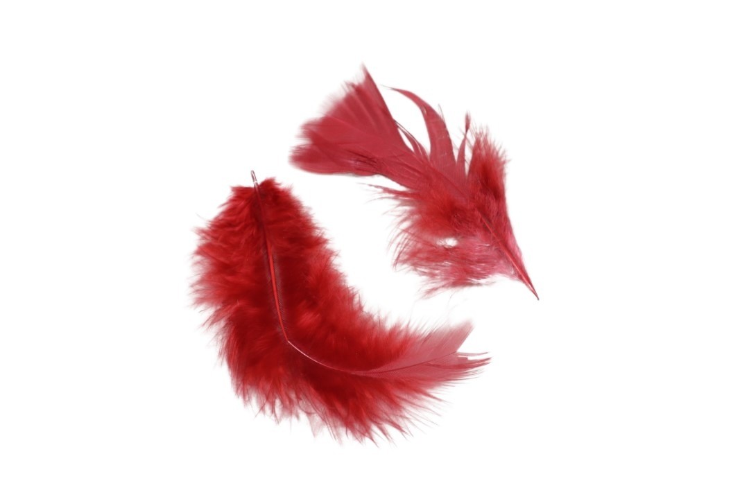 Federn 20 gr. weinrot