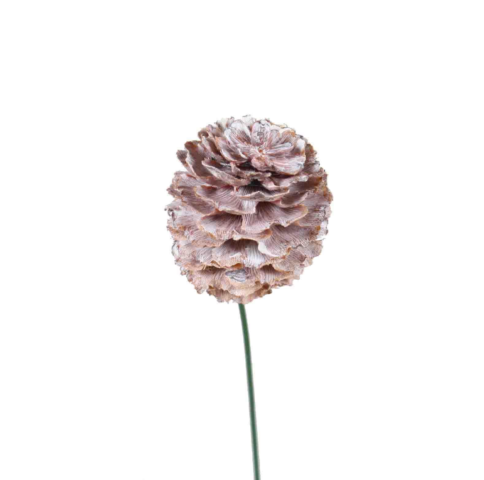 Glabrum am Draht white washed