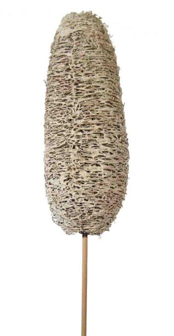 Luffa white washed gestielt 10-15cm