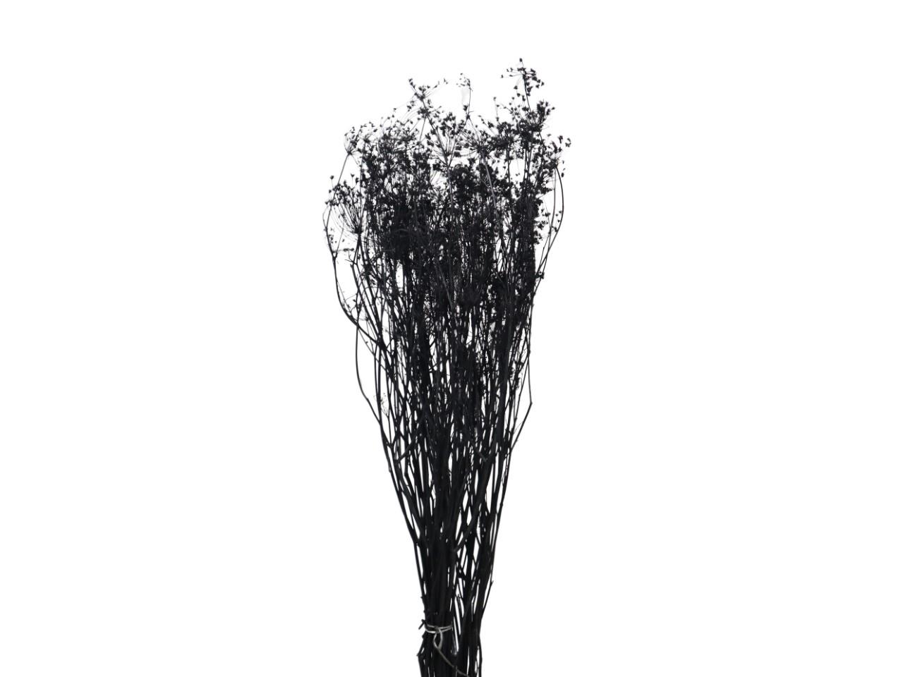 Ombrellifera schwarz69 100gr.