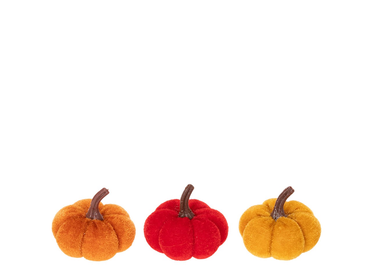 Kürbisse Samt herbstmix 5cm