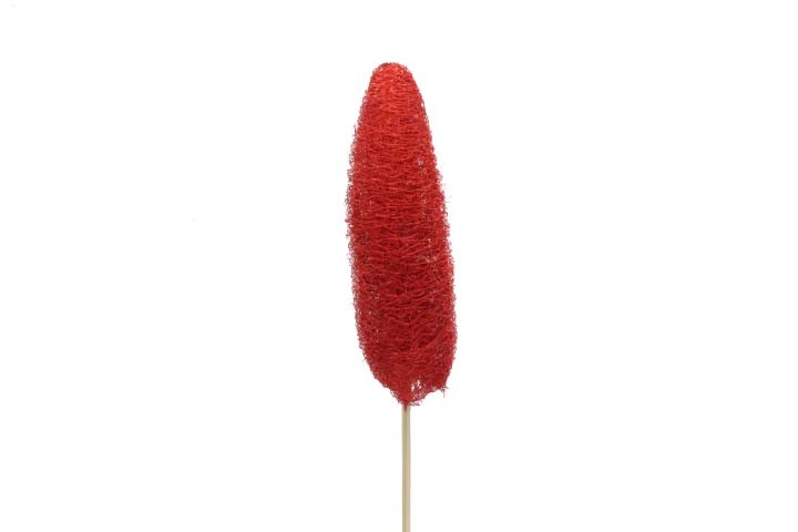 Luffa D4-6H10-15cm gestielt rot