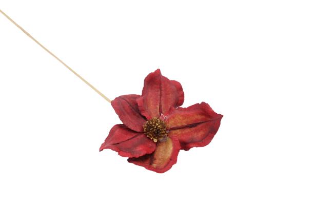 Blüte Jacaranda D10cm gestielt rot