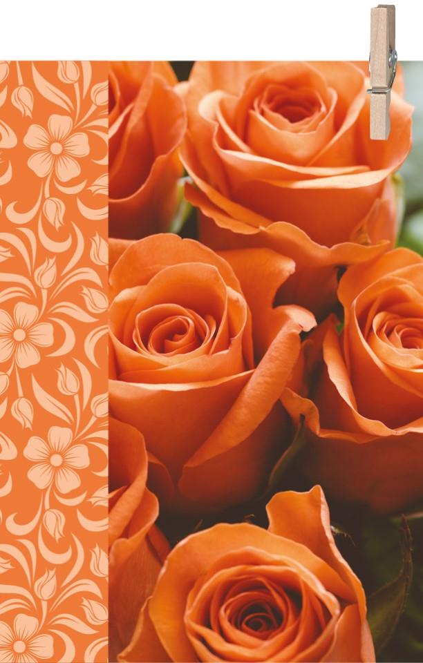 Minikarten World blanco 7,5x5 cm