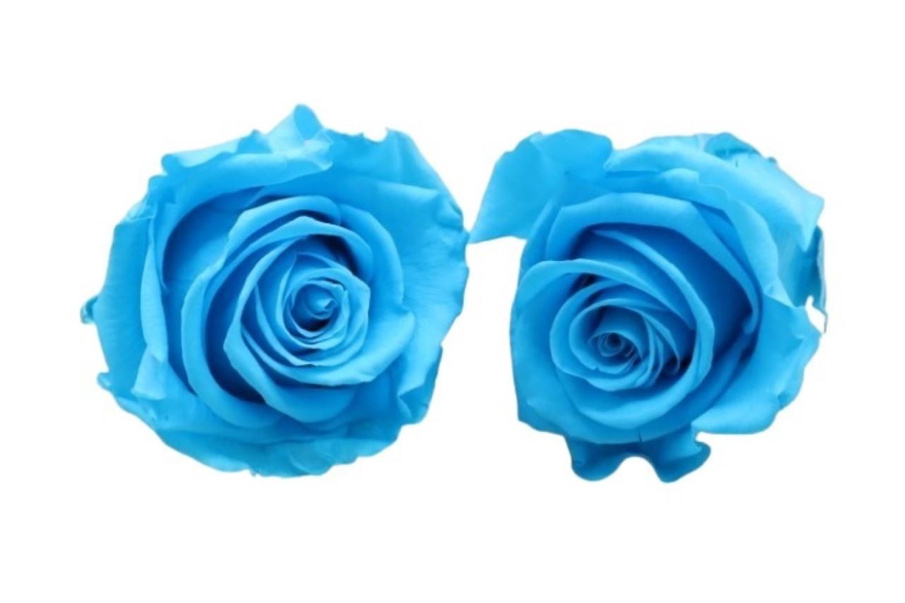 Rose stabilisiert H 5,5 cm D 5,5 cm bright turquoise NETTO
