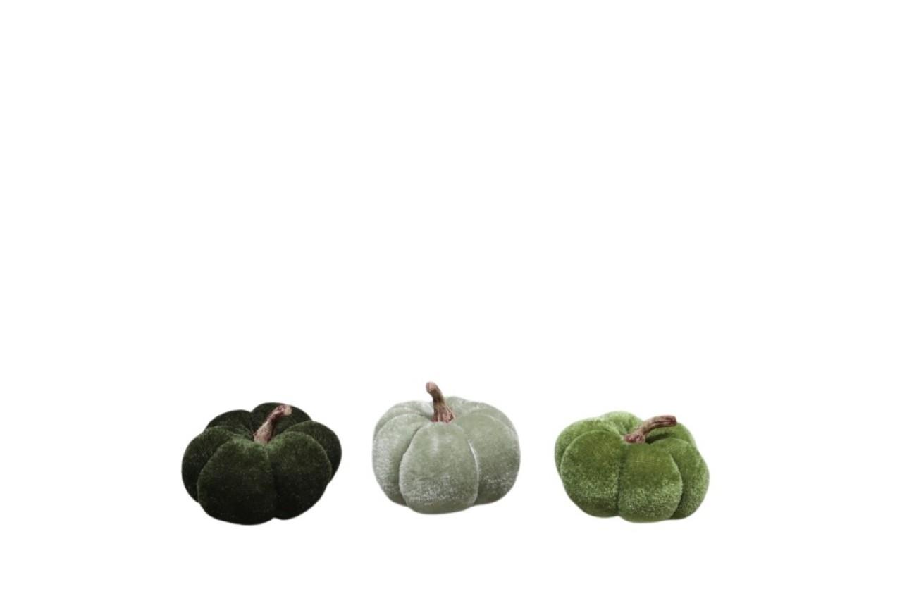 Kürbisse Samt grün mix 5cm