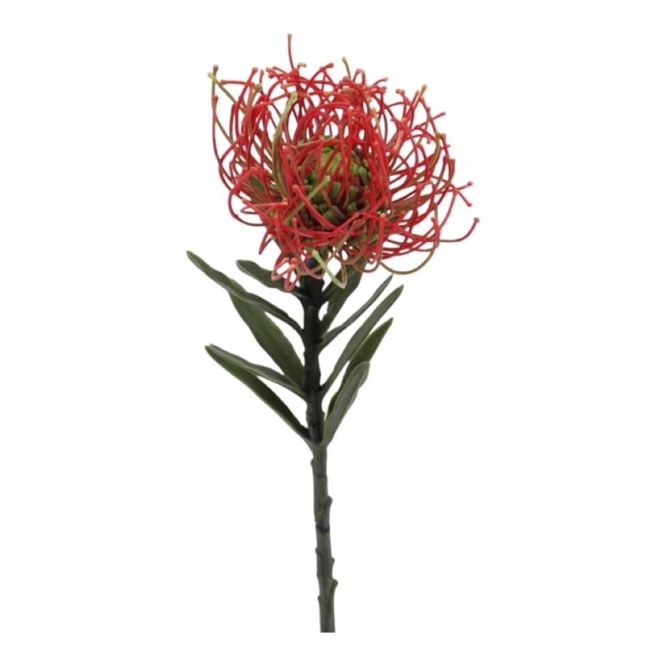 Protea Nadelkissen rot-grün L53cm