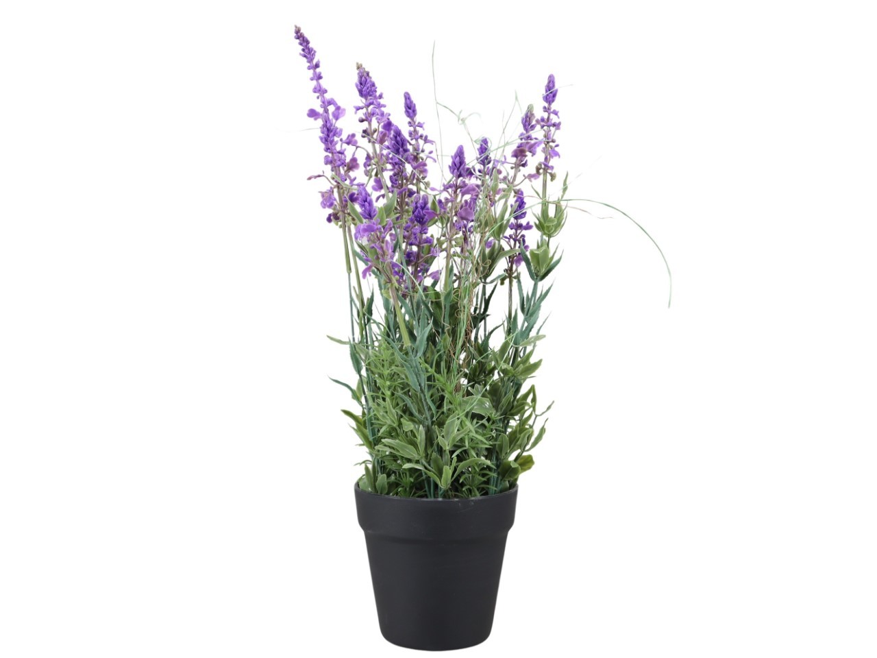 Lavendel im Topf lila H49,5cm
