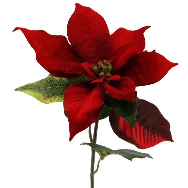 Poinsettia Mini 38 cm rot