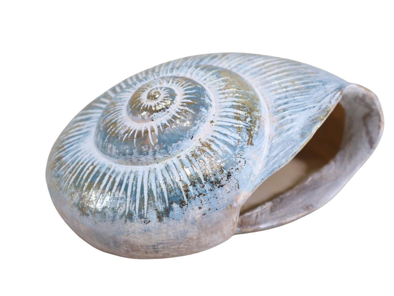 Muschelvase m. Wandbefestigung Poly patina-blau D21x19,5cm